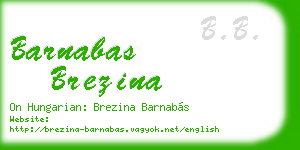 barnabas brezina business card